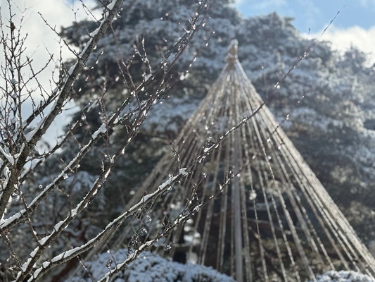 日本の風景　東北旅　雪吊り